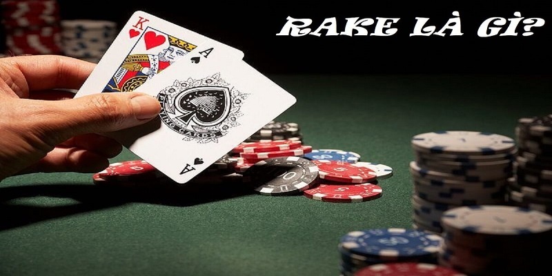 Tìm hiểu khái niệm về Rake trong Poker